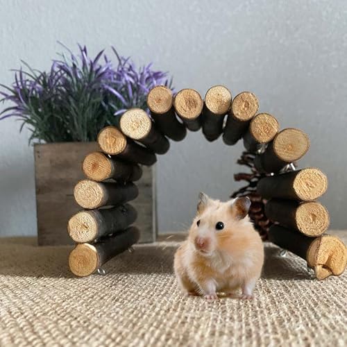 Reptile Bridge 5x9 Inch Safe Willow Branches Guinea Pig Ramp Anti-Bite Guinea Pig Hideout Climbing Ladder for Ferrets Chinchillas Hedgehogs Tortoise, M - color: M