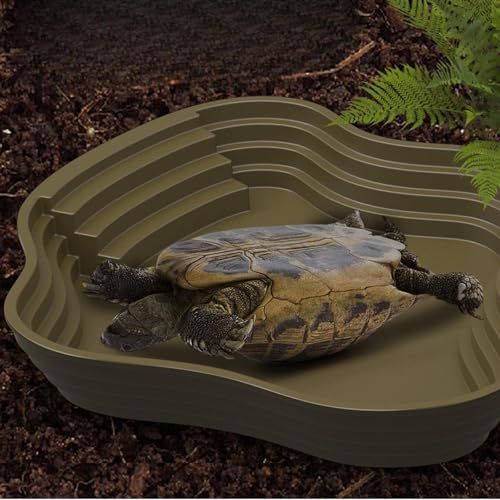 Reptile Bathing Pool Tortoise Water Dish Lizards Habitat Turtle Bath for Gecko Tortoise, Green S - color: Green S