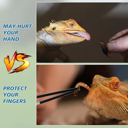 2-Pack Reptile Feeding Tongs with Soft Rubber Tips - 10" & 11.8" Extra Long Curved/Straight Aquarium Tweezers for Bearded Dragons, Snake Feeding & Terrarium Maintenance,Stainless Steel