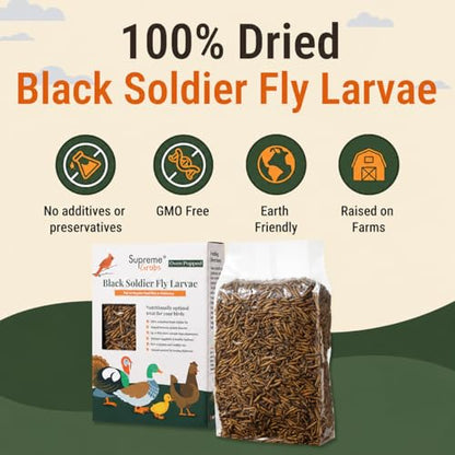Natural Black Soldier Fly Larvae for Chickens, 85X More Calcium Than Mealworms-High Protein Grub Food Chicken Treats for Hens, Probiotic-Rich Chicken Feed, Calcium-Dense Bird Treat 5lb - size: 5 Pounds