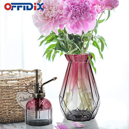 Plant Mister Glass Spray Bottle for Indoor Small Plants | Succulent Flower Spritzer Watering Can Bronze Plastic Top Pump One Hand - color: D-Wine Red Gray Gradient