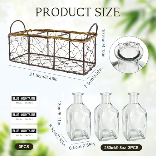 Plant Propagation Stations with Metal Stand, Willow-Woven Wire Mesh Retro Glass Planter for Hydroponic Propagating, Desktop Terrarium Flower Vase for Home Kitchen Office Decor Gifts, 3 Jars
