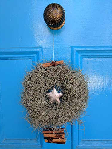 Mosser Lee ML0560 Spanish Moss, 250 Cubic Inches - size: No Size