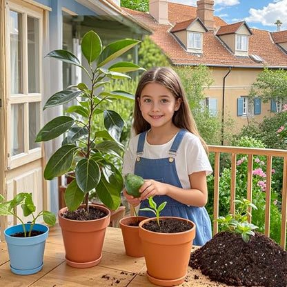Organic Avocado Tree Potting Soil Mix 4qt, Enhance Growth and Transplant Success for Avocado Plants - size: 4qt
