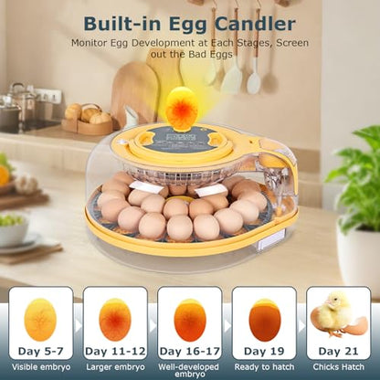 Egg Incubator, 26 Chicken/59 Quail Eggs Incubators for Hatching Eggs with Temp & Humidity Control, Auto Egg Turner, Adjustable Hatch Day & Air Vent, Egg Candler, Auto Water Refill, 360° Clear View - size: 26 Eggs