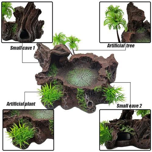 Tfwadmx Reptile Feeding Bowl,Resin Beared Dragon Food Water Dish Reptile Tank Decor for Lizard Gecko Chameleon Frog Turtle Spider