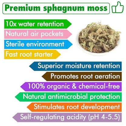 4 qt Sphagnum Moss for Indoor Plants, Natural Dried Long Fiber Moss for Orchid Repotting, Carnivorous Plants, Succulents, Monstera, Flower & Reptile Terrariums Habitats (3 oz) - size: 3oz