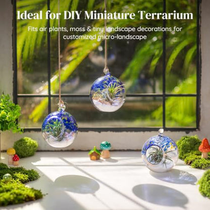 Glasseam Hanging Glass Plant Terrarium: 3Pcs Hanging Airplant Fern Holders | 4 Inch Thick Handmade Planter Hanger Globe for Tillandsia Succulent Moss, Indoor Wall Window Decor Gift for Plant Lovers