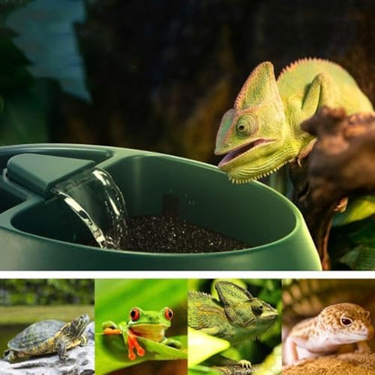 pet Water Reptile Drinking Fountain Water Dripper Suitable for Snake Gecko Lizard-Chameleon Bearded Dragon Water Dish Bowl Amphibians Insects Gecko Lizard Turtle Frog Water and Food with Water Pump