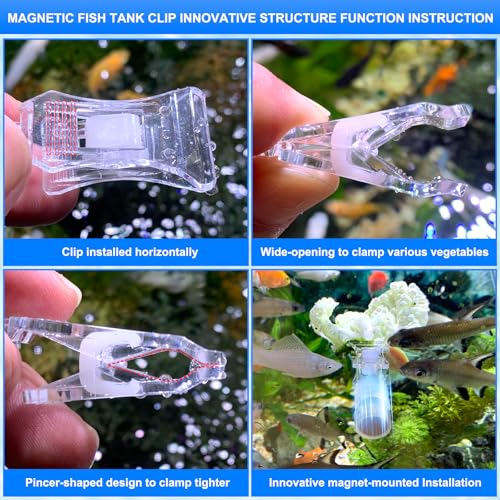 Magnetic Aquarium Veggie Clip Plant Feeding nori Seaweed Clip for Saltwater Fish Aquarium Magnet Lettuce Food clamp Fish Accessories—Patented Product (2pcs Magnetic Veggie Clip) - size: 2pcs magnetic veggie clip
