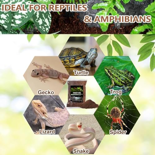 BNOSDM 2PCS Reptile Soil Substrate,Fluffy Small-Strand Reptile Substrate,Natural Terrarium Bioactive Soil Bedding for Snakes, Lizards, Tortoises Tarantulas,Lizards - color: 2PCS 1.32gal (Total 2.64gal)