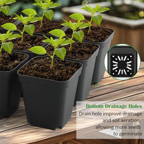 RooTrimmer 3.15 inch (8CM) Square Nursery Pots 100 pcs, Sturdy Seedlings Trays 5 Pcs, Seeds Starter Germination Tray, Microgreening Planter Nursery Propagation 5 Sets - size: 3.15" Pots-100P + 16.2" x 13.2" x 2.6" Trays-5P