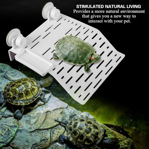 Aquarium Reptile Platform with Suction Cup Floating Dock for Turtles and Frogs Food Container and Resting Terrace for Fish Tank Habitat
