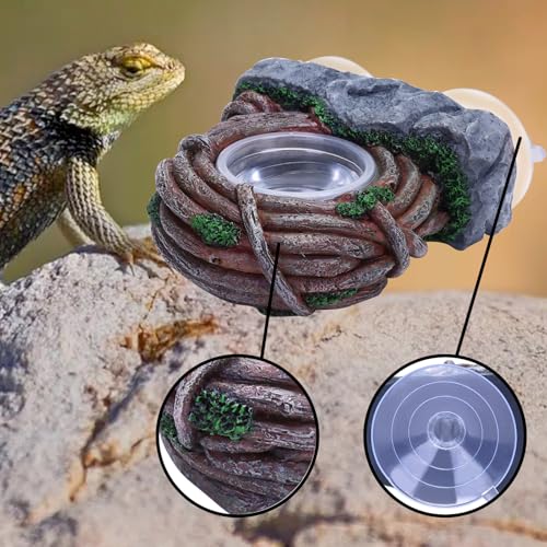AIICIOO Vine Reptile Feeding Ledge Pet Food Bowl Water Dish Amphibian Feeder Bowl Reptile Terrarium Decor for Bearded Dragon Lizard Snake Frog Gecko Tortoise Hermit Crab - size: Vine Single Feeder