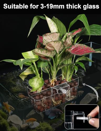 1 Pack Clear Aquarium Plant Holder Top Hanging Fish Tank Plant Holders Fits up to 0.8in Tank Edges, Aquarium Décor - color: Rectangle-White