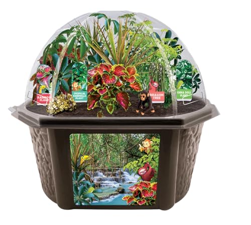 Toys by Biosphere Terrarium Starter Kit with Complete Supplies to Create Your Own Jungle! Indoor Plants for Home Displays and Gardens (Tropical Rainforest Jungle) - style: Tropical Rainforest Jungle