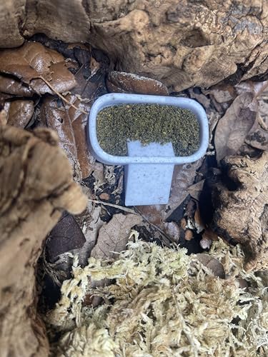 Isopod Feeding Dish 3-Pack – Small, Medium & Large Sizes | Insect Feeder Bowl Set for Isopods, Springtails, Dubia Roaches, Reptiles & Bioactive Terrariums