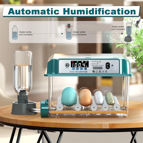 16 Eggs Incubators for Hatching Eggs, Egg Incubator with Automatic Egg Turning and Temperature Control, Chicken Egg Incubators with Egg Candler for Duck Goose Pigeon Quail - size: 16 Egg