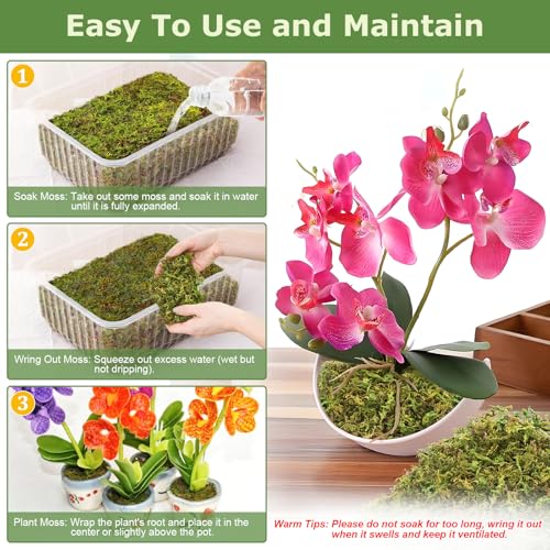 2.6LB Sphagnum Moss for Plants, 50QT Natural Long Fiber Orchid Moss | Drainage & Moisture Retention, Green Plant Moss for Orchid Repotting, Carnivorous, Succulents, Reptile Bedding & Terrariums - size: 2.6LB