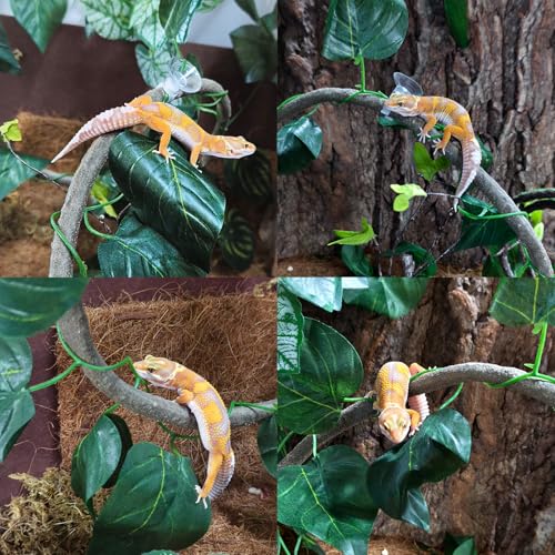 5Pcs Reptile Vines for Terrarium 13FT Flexible Jungle Climbing Vine Branch for Bearded Dragon Plastic Plants and Leaves Tank Accessories Decor for Gecko Lizard Snake Chameleon Hermit Crab Frog