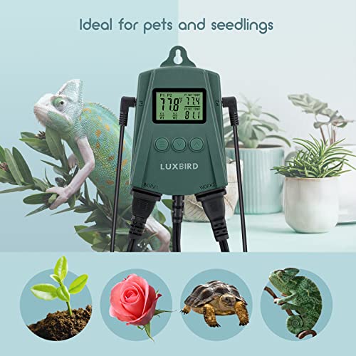 LUXBIRD Digital Temperature Controller LB-2SC, Thermostat Outlet for Reptile Terrarium Greenhouse Grow Tent, 2-Year Warranty, 2-Year Warranty (Green)