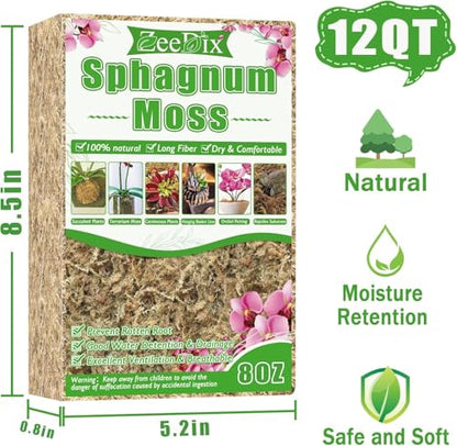 8 oz Sphagnum Moss for Indoor Plants, Natural Orchid Potting Mix for Repotting, Dried Long Fiber Sphagnum Peat Moss for Carnivorous Plants Succulents Reptile Habitats (Expands to 12 qt) - size: 8 ounces
