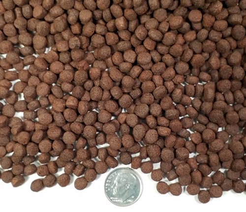 6mm- 1/4" Floating California Blackworm Pellets with Color Enhancers and Vitamins for All Large Tropical Fish, Large Cichlids, Koi Fish & Pond Fish - 1-lb