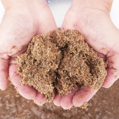 Natural Premium Sphagnum Moss Fiber Substrate for Hermit Crab, Ideal Accessories for Hermit Crab Tanks, Great for Mixing with Hermit Crab Sand - size: 2QT