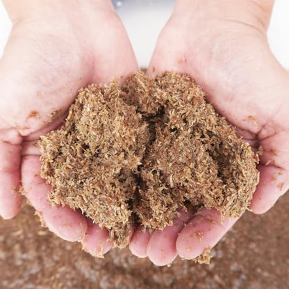 Natural Premium Sphagnum Moss Fiber Substrate for Hermit Crab, Ideal Accessories for Hermit Crab Tanks, Great for Mixing with Hermit Crab Sand - size: 2QT