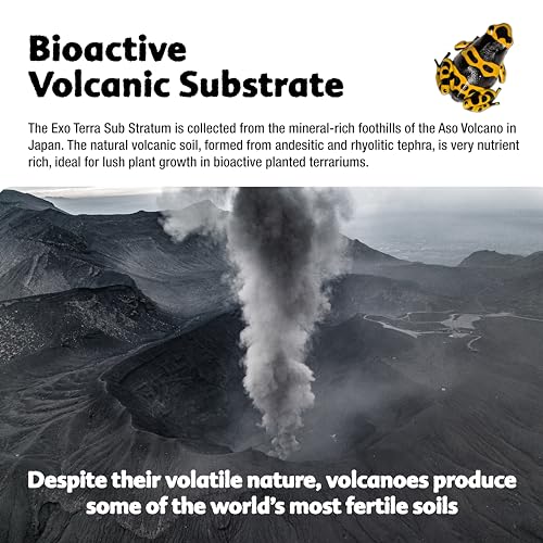 Exo Terra Sub Stratum, Offers Correct Moisture Levels 4.4 lb | Bioactive Volcanic Substrate for Reptile Terrariums, Eliminates Odor