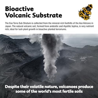 Exo Terra Sub Stratum, Offers Correct Moisture Levels 4.4 lb | Bioactive Volcanic Substrate for Reptile Terrariums, Eliminates Odor