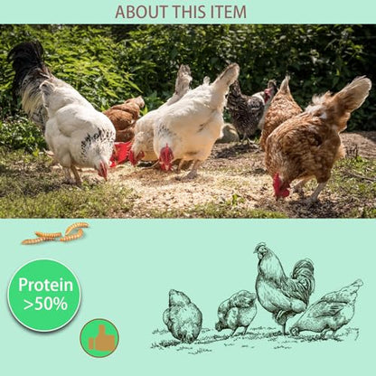 Dried Mealworms 5LB-High Protein Chicken Feed,More Protein,No Additives,Premium Organic Non-GMO,Rich in Protein Meal Worms for Chickens,Wild Birds,Laying Hens,Turkeys-Nutrient-Rich Mealworms - size: 5 Pound (Pack of 1)