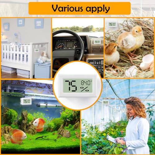 Bearded Dragon Accessories, 2 PCS Rectangle Reptile Thermometer and Humidity Gauge, Reptile Tank Accessories for Jumping Spider, Leopard Gecko, Hermit Crab, Gecko, Ball Python, Lizard - color: White Rectangle