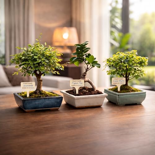 Bonsai Tree Kit Deluxe - Growing 5 Unique Japanese Bonzai Trees | Complete Indoor Bonsai Starter Kits for Growing Trees – Plant Lovers Gifts for Women & Men