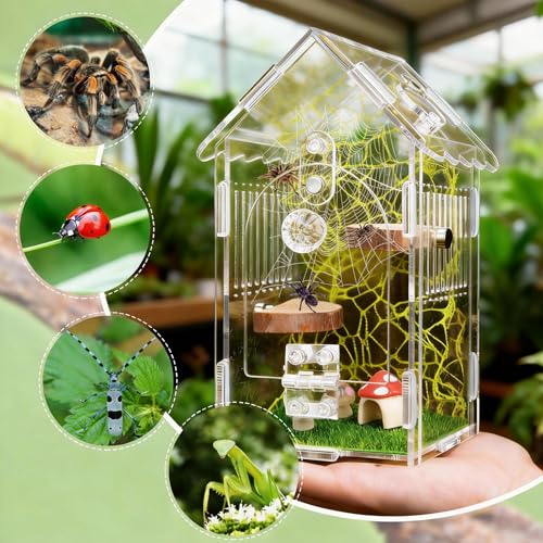 Hysagtek Jumping Spider Enclosure, Acrylic Arboreal Tarantula Enclosure Small Reptile Terrarium with Magnetic Door, Clear Jumping Spider Enclosure Accessories
