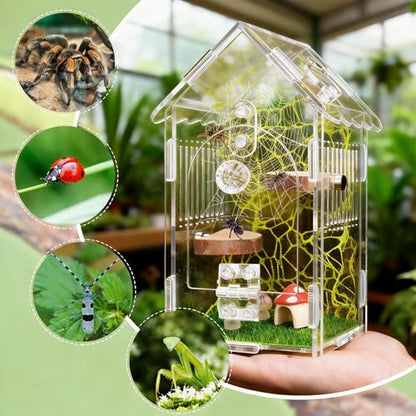 Hysagtek Jumping Spider Enclosure, Acrylic Arboreal Tarantula Enclosure Small Reptile Terrarium with Magnetic Door, Clear Jumping Spider Enclosure Accessories