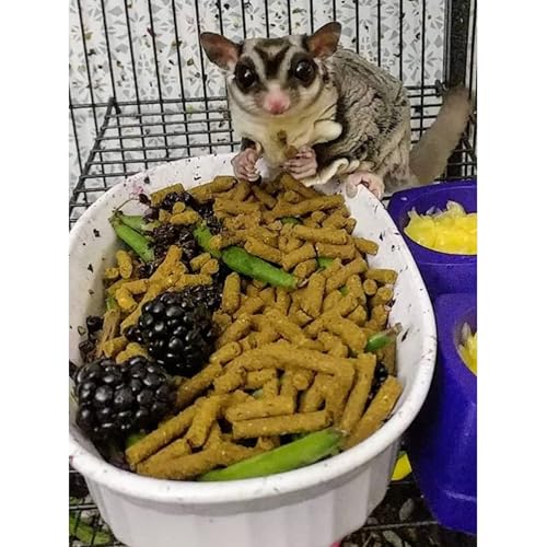 Premium Insectivore Diet (8 lb.) - Healthy Nutritious Chicken Based High Protein Pellet Diet - for Sugar Gliders, Hedgehogs, Opossums, Skunks & Other Insectivores - size: 8 Pound (Pack of 1)