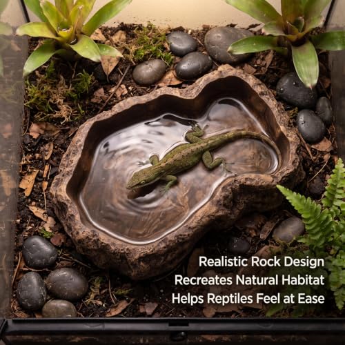 Reptile Water Dish, 600ml Tortoise Food Bowl - Natural Rock Texture Feeding & Bathing Bowl, Brown, 8.9x6.50x1.77 Inch, Snake Water - color: brown