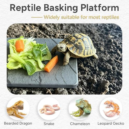 Reptile Basking Platform, 5.9''x9.8'' Diatomaceous Earth Feeding Mat Slate Habitat Accessories for Bearded Dragon Tortoise Lizard Gecko Snake Turtle Tank