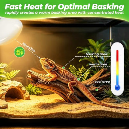 LUCKY HERP Reptile Heat Lamp Bulbs 75W, UVA Daylight Basking Bulbs 2 Pack | Fast Heating, Simulates Natural Sunlight, Ideal for Bearded Dragons Geckos Lizards Turtles Chameleons Amphibians & Chickens - size: 75