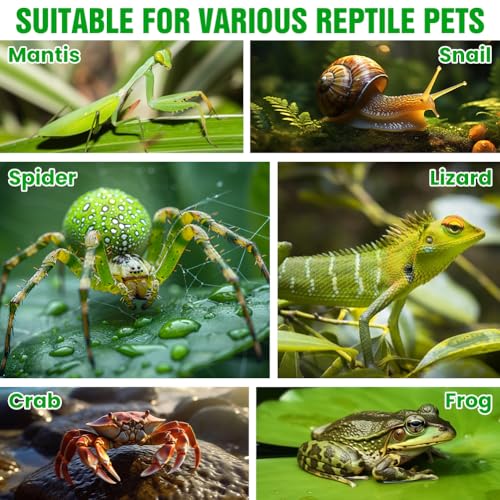 Acrylic Spider Enclosure, Jumping Spider Terrarium 4.7x4.7x7.9in | Dual access doors and micro-vent holes for feeding, misting, cleaning, and airflow