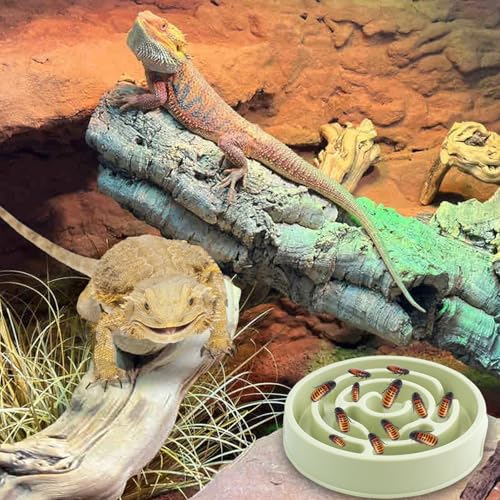 Bearded Dragon Maze Bowls Puzzle, Bearded Dragon Feeding Dish Food Bowl, Reptile Feeding Dish to Slow Down Eating, Worm Dubia Cricket Anti-Escape Food Bowl