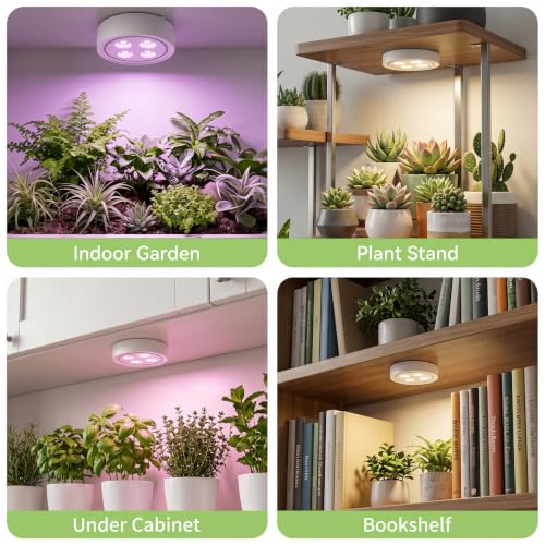 1 Pack Rechargeable Grow Light, Cordless Full Spectrum LED for Indoor Plants, Magnetic Mount, Timer & Remote, USB-C 2000mAh for Shelf, Herbs, Succulents, Seedlings & Greenhouse (Black)