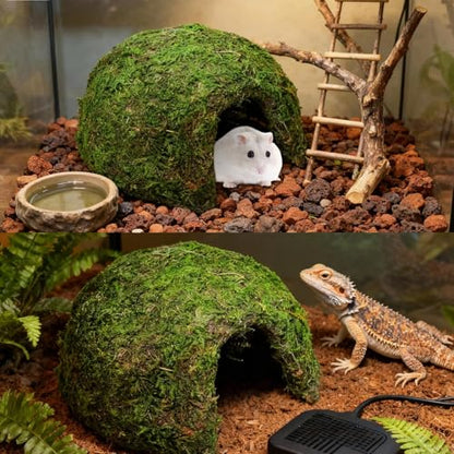 Reptile Moss Hideout, Half Round Cave for Lizards Snakes Frogs | Reptile Moss Hideout, Half-round dome shape, Full moss exterior coverage, Spacious interior room, Stable on all substrates