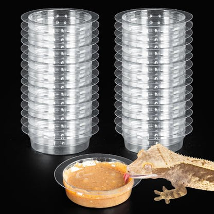 REPTIZOO 30PCS Feeding Cups for Reptile Magnetic Feeder Ledge, Replacement Cups for REPTIZOO Food Water Feeder Dish Gecko Feeding Ledge