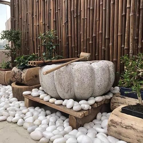 FANTIAN 10 lbs White River Rocks, 1-2 Inch Polished Pebbles for Indoor Plants, Decorative White Stones for Plants, Vase, Aquarium, Fish Tank, Landscaping and Garden - size: 1-2 Inch, style: 10 Pounds