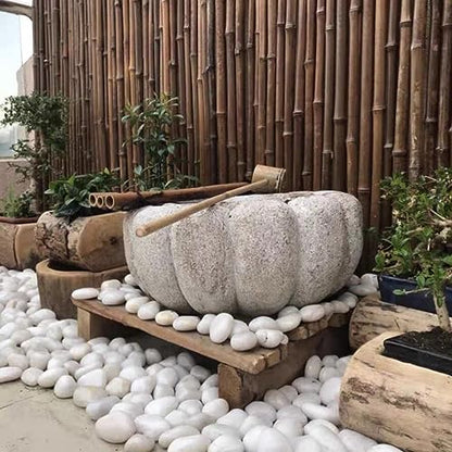 FANTIAN 10 lbs White River Rocks, 1-2 Inch Polished Pebbles for Indoor Plants, Decorative White Stones for Plants, Vase, Aquarium, Fish Tank, Landscaping and Garden - size: 1-2 Inch, style: 10 Pounds