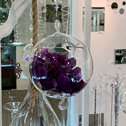 WGV Hanging Terrarium Globe, Width 5", Height 7", Double Hook, DIY Air Succulent Planter, Clear Glass Vase Orb, Candle Holder for Windowsill Outdoor Garden Decor, 1 Piece - size: 5" Double Hook