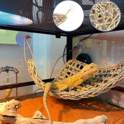 Adullpony Bearded Dragon Tank Accessories Set: Reptile Habitat Decor with Climbing Hammock Toys, Natural Wood Hideout for Hermit Crab, Lizard, Leopard Gecko,Crested,Tortoise, Snake