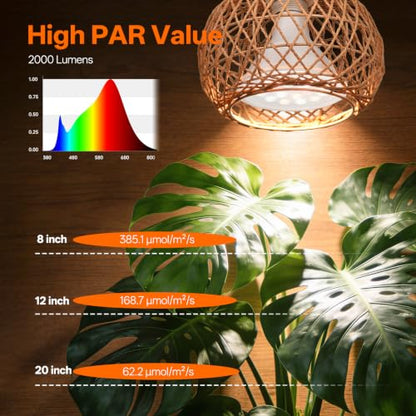Hanging Grow Light for Indoor Plants 18W | Full Spectrum Plant Light, With 4H/9H/14H Timer, Boho Rattan Shade, 3800K Hanging Lights for Indoor Plants - size: Rattan Lantern-Hanging